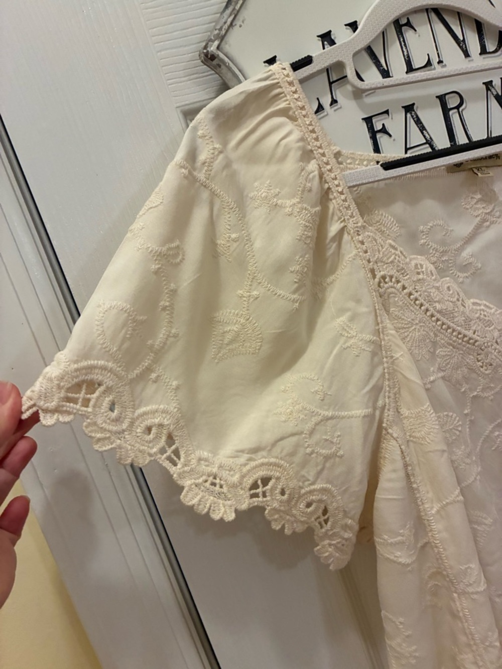 Democracy Cream Eyelet Lace Scoop Neck Flutter Sleeve Top - Picture 3 of 11